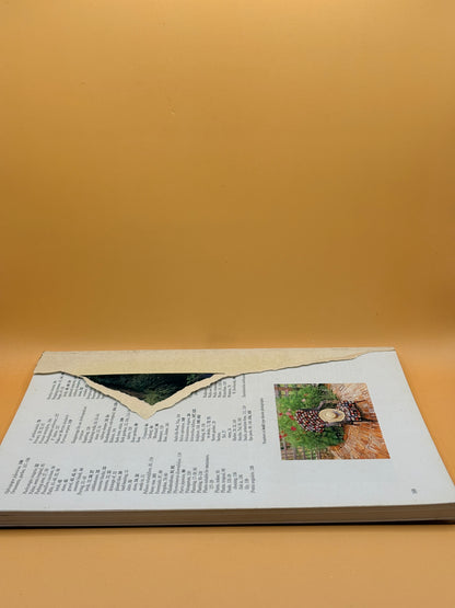 New Zealand City Gardens by Susan Firth and Gil Hanly