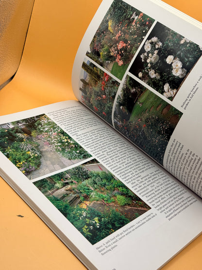 New Zealand City Gardens by Susan Firth and Gil Hanly