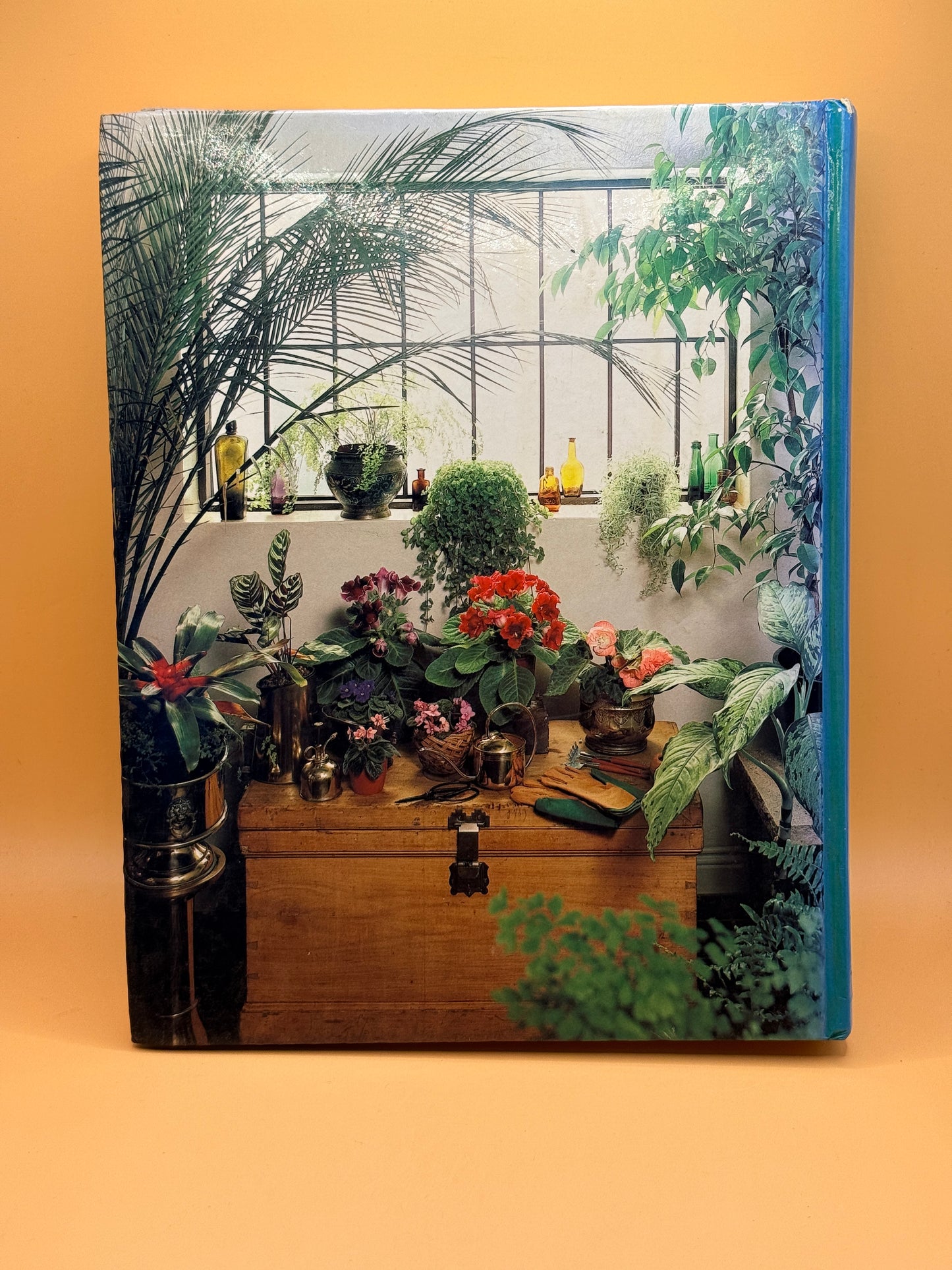 Complete Guide to Indoor Plants by Reader's Digest