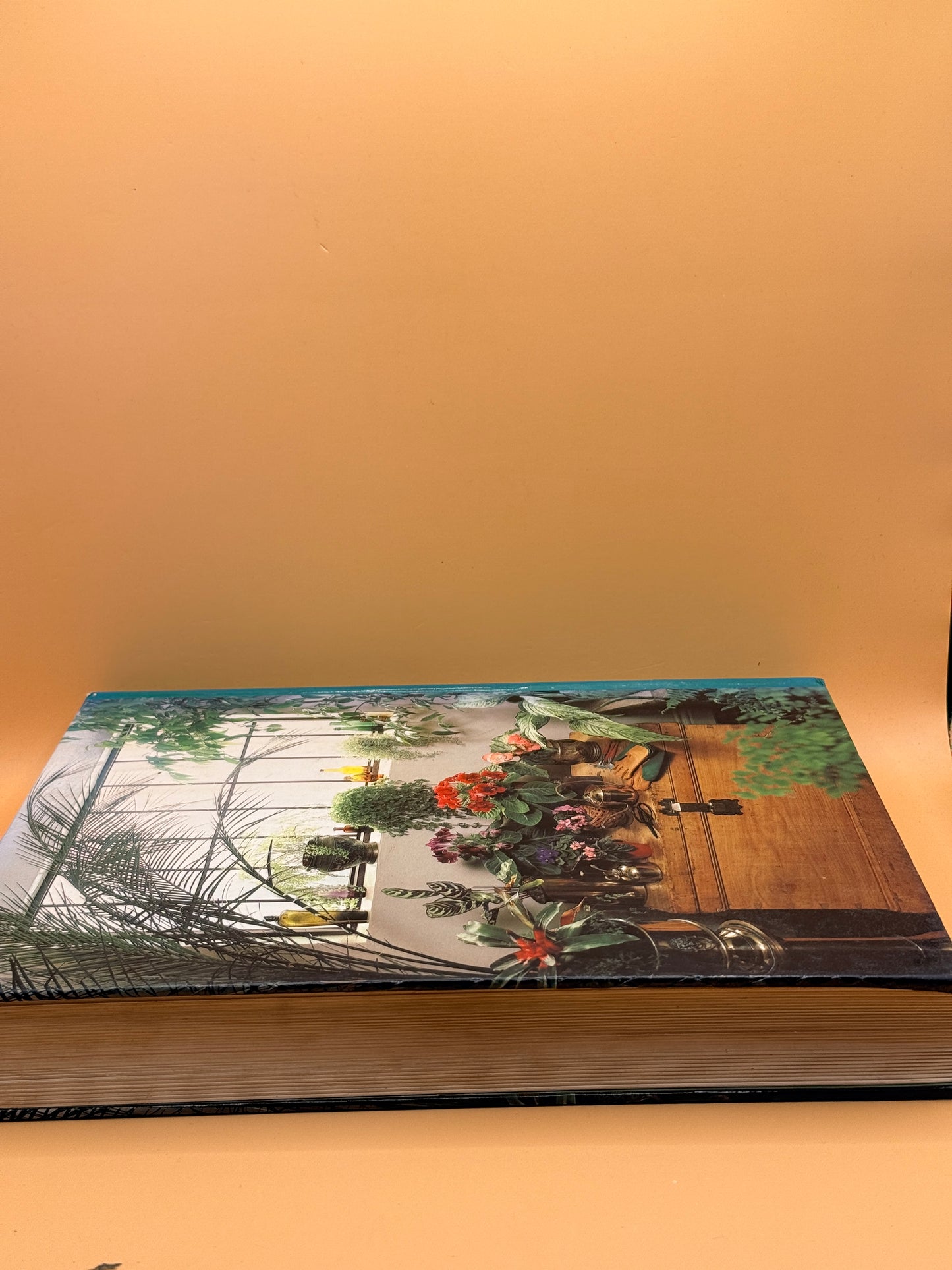 Complete Guide to Indoor Plants by Reader's Digest