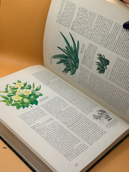 Complete Guide to Indoor Plants by Reader's Digest