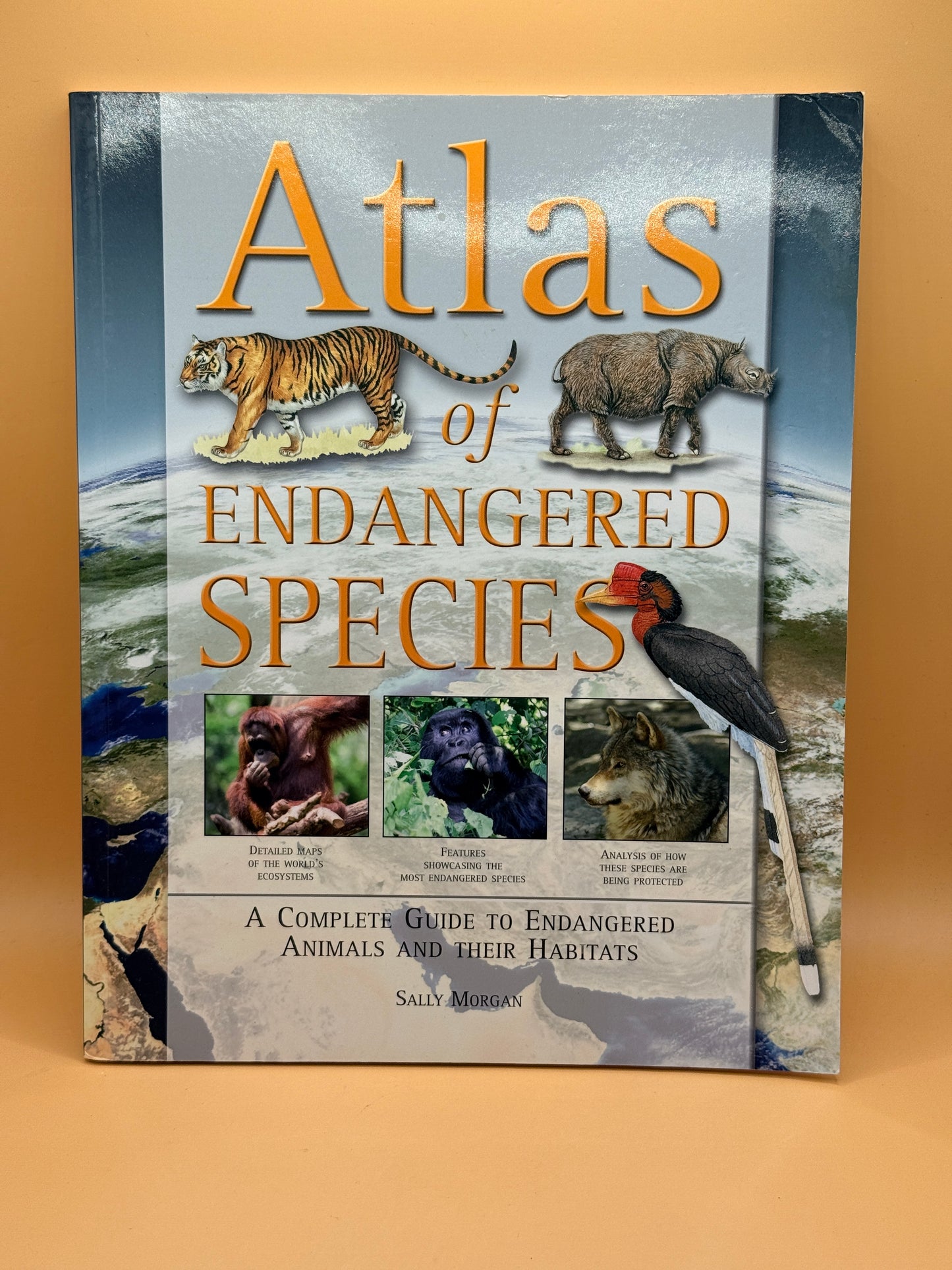 Atlas of Endangered Species by Sally Morgan