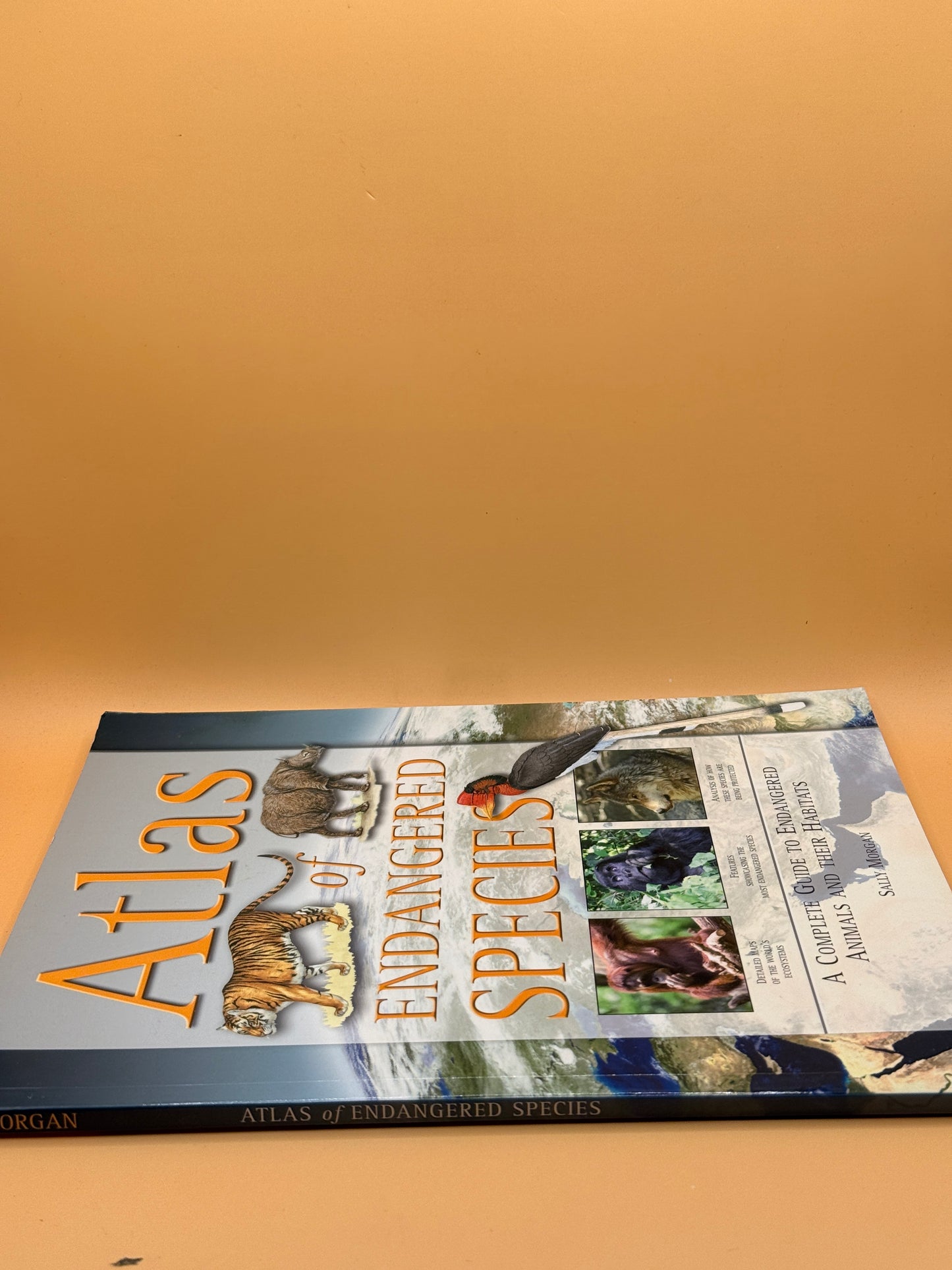 Atlas of Endangered Species by Sally Morgan