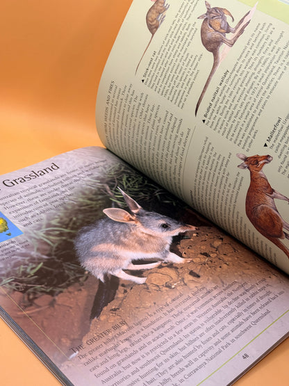 Atlas of Endangered Species by Sally Morgan