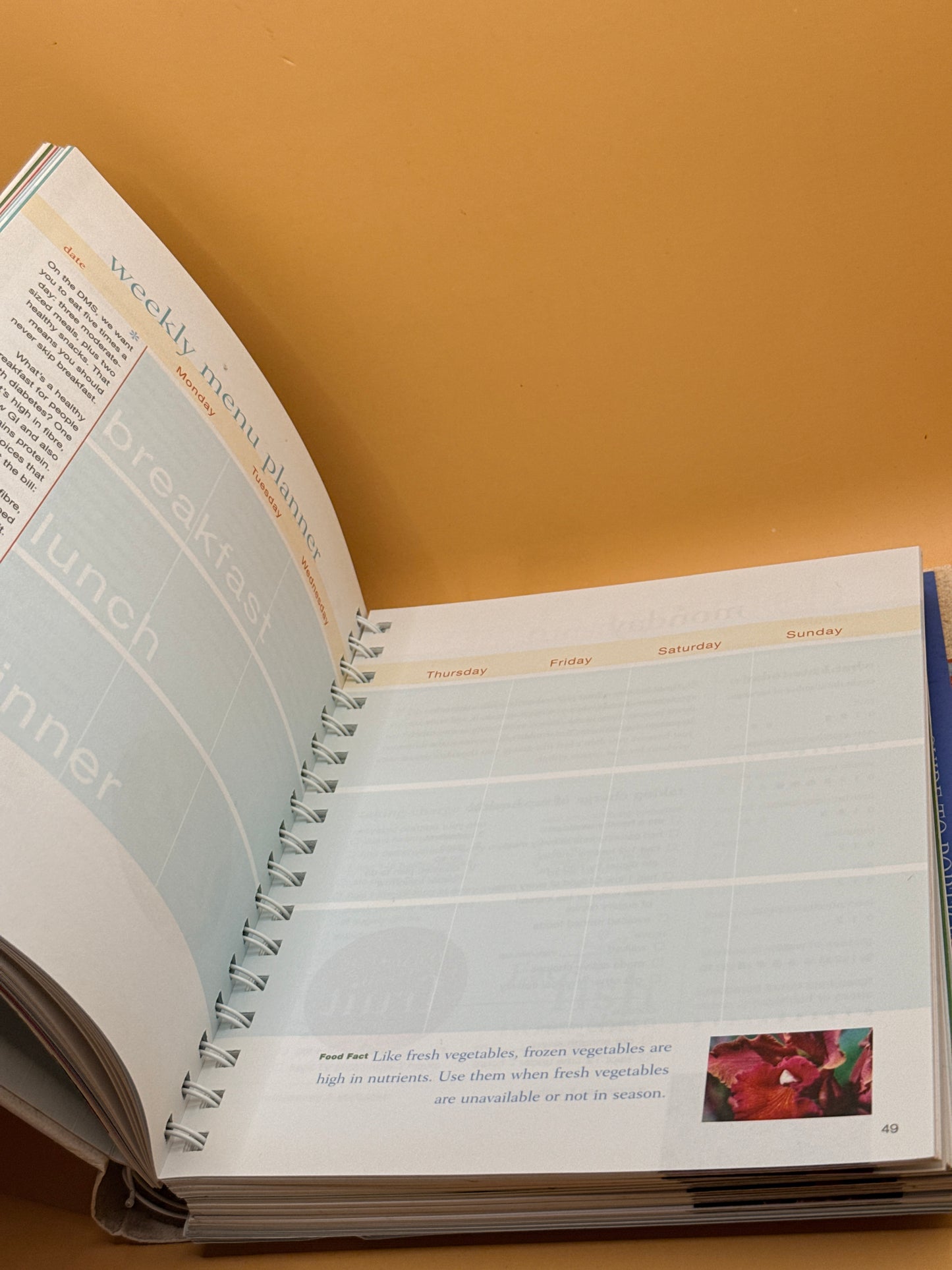 Personal Planner: Diabetes by Reader's Digest