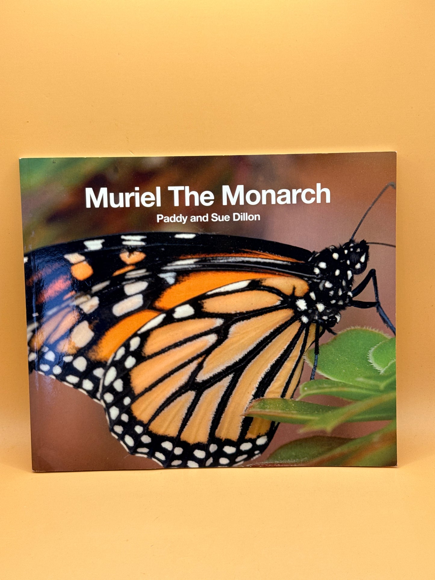 Muriel the Monarch by Paddy and Sue Dillon