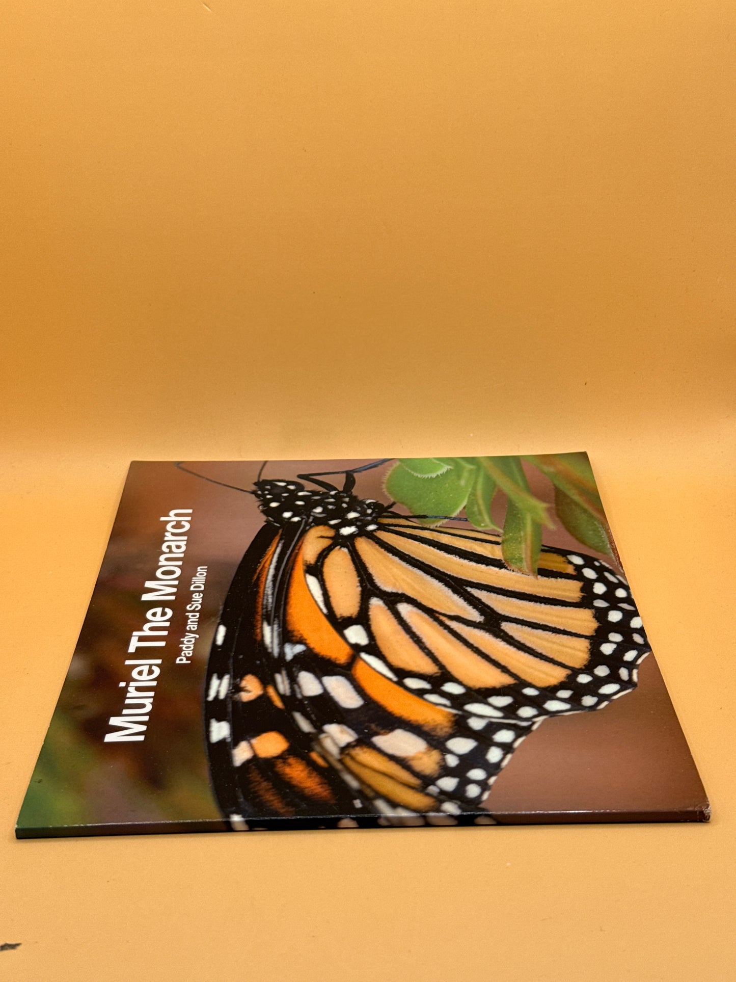 Muriel the Monarch by Paddy and Sue Dillon