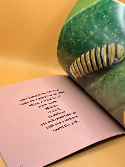 Muriel the Monarch by Paddy and Sue Dillon