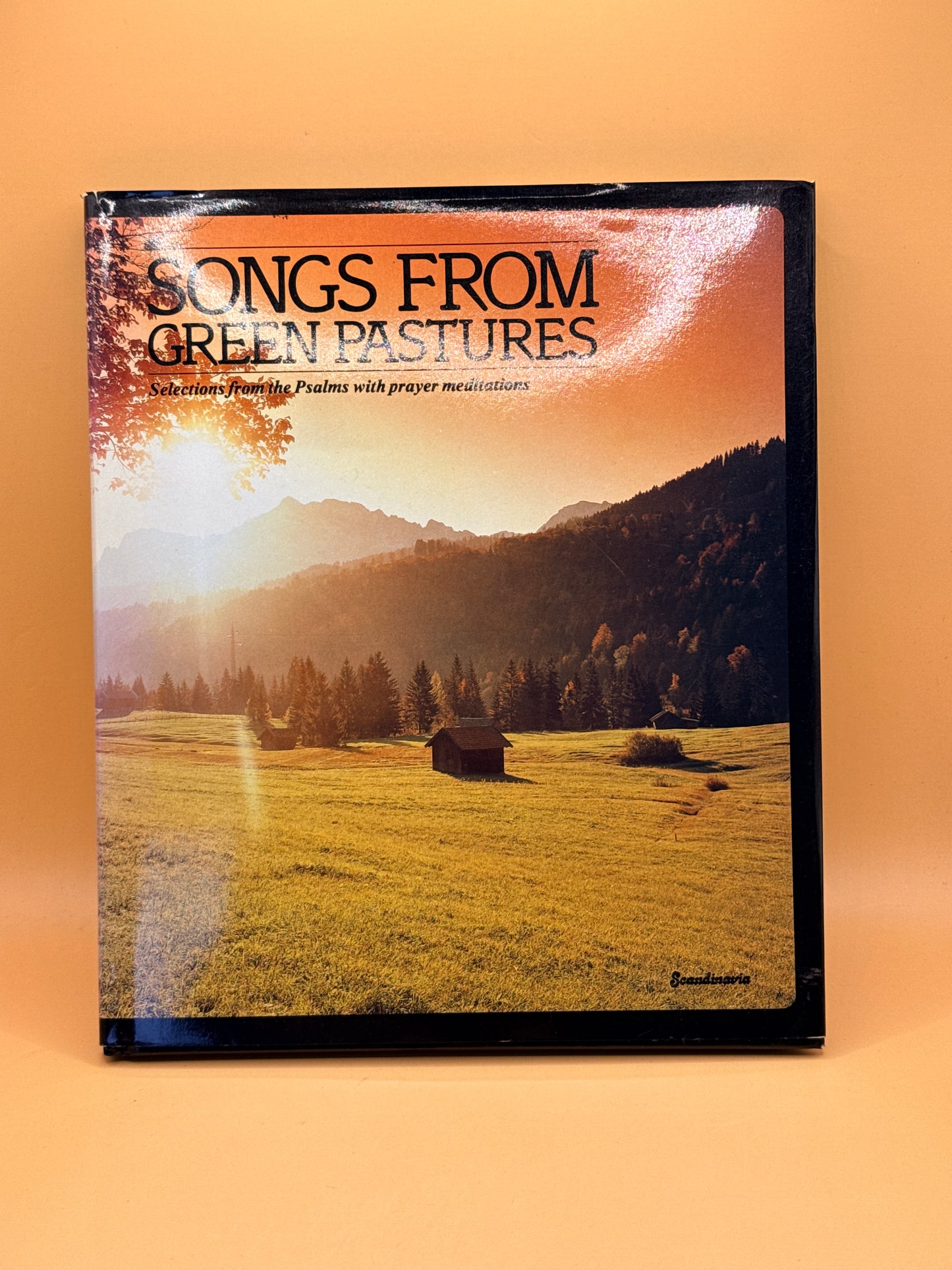 Songs from Green Pastures: Selections from the Psalms with Prayer Meditations
