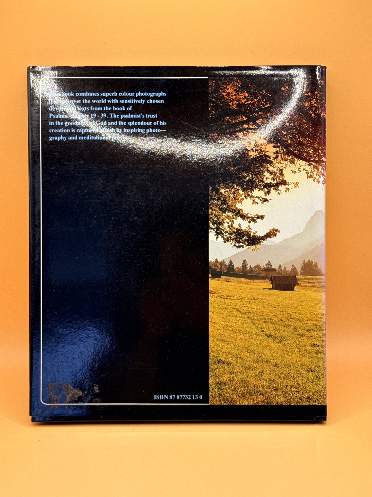 Songs from Green Pastures: Selections from the Psalms with Prayer Meditations