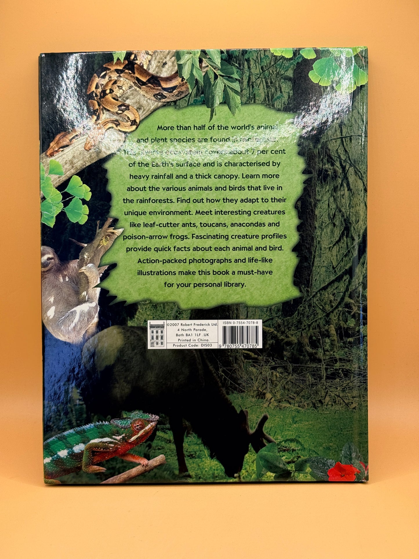 Rainforest Creatures by Robert Frederick