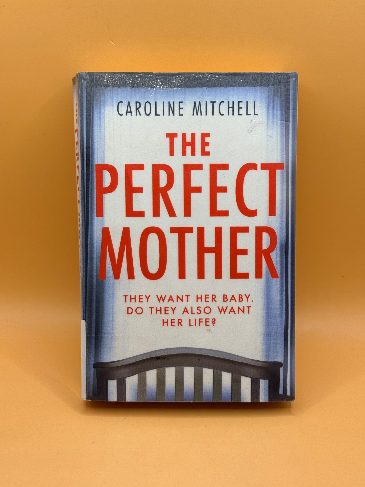 The Perfect Mother by Caroline Mitchell