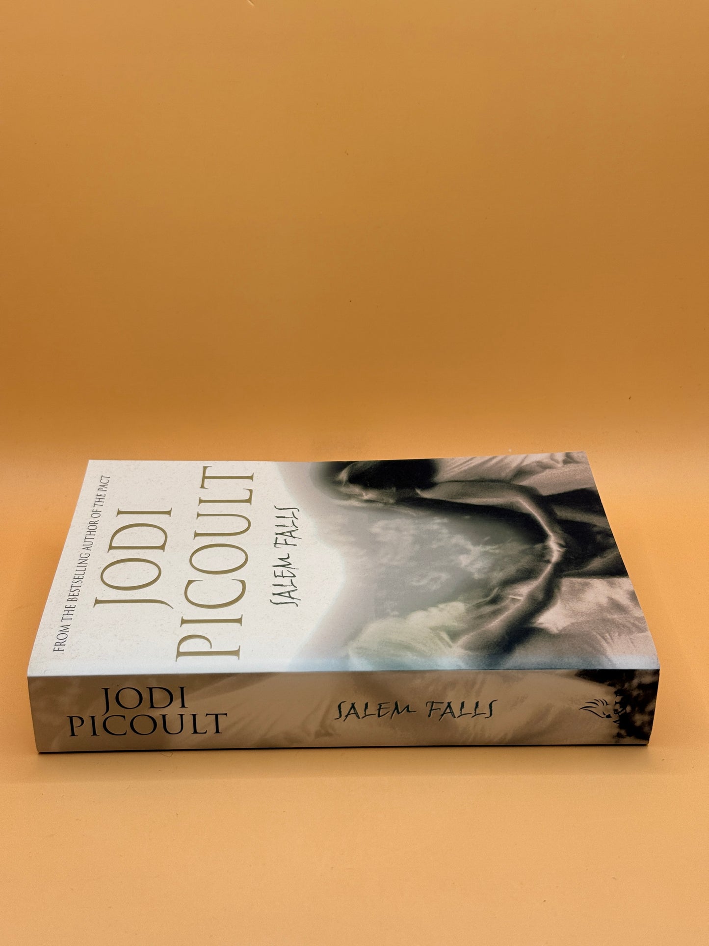 Salem Falls by Jodi Picoult