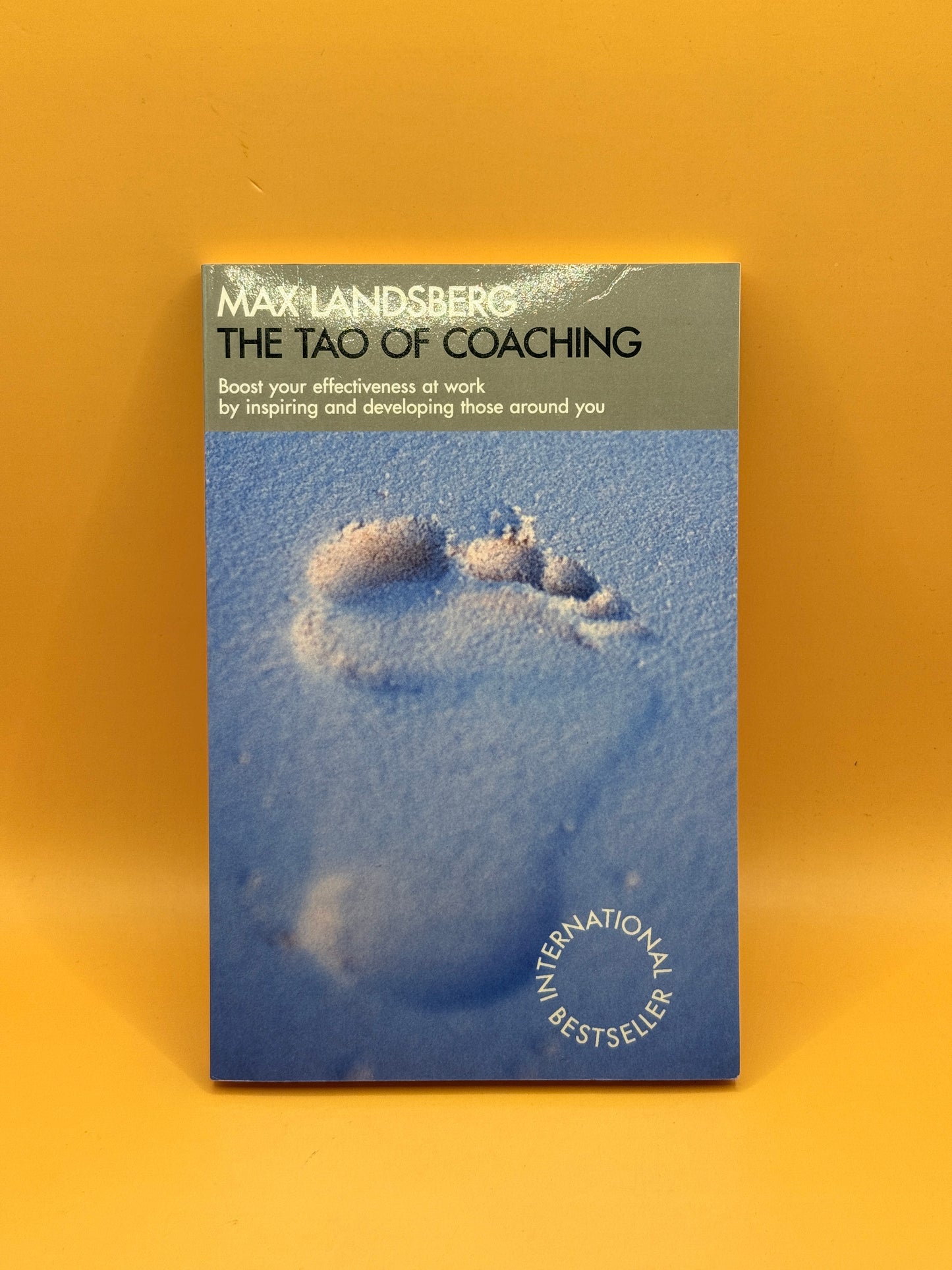 An Introduction to The Tao of Coaching by Max Landsberg