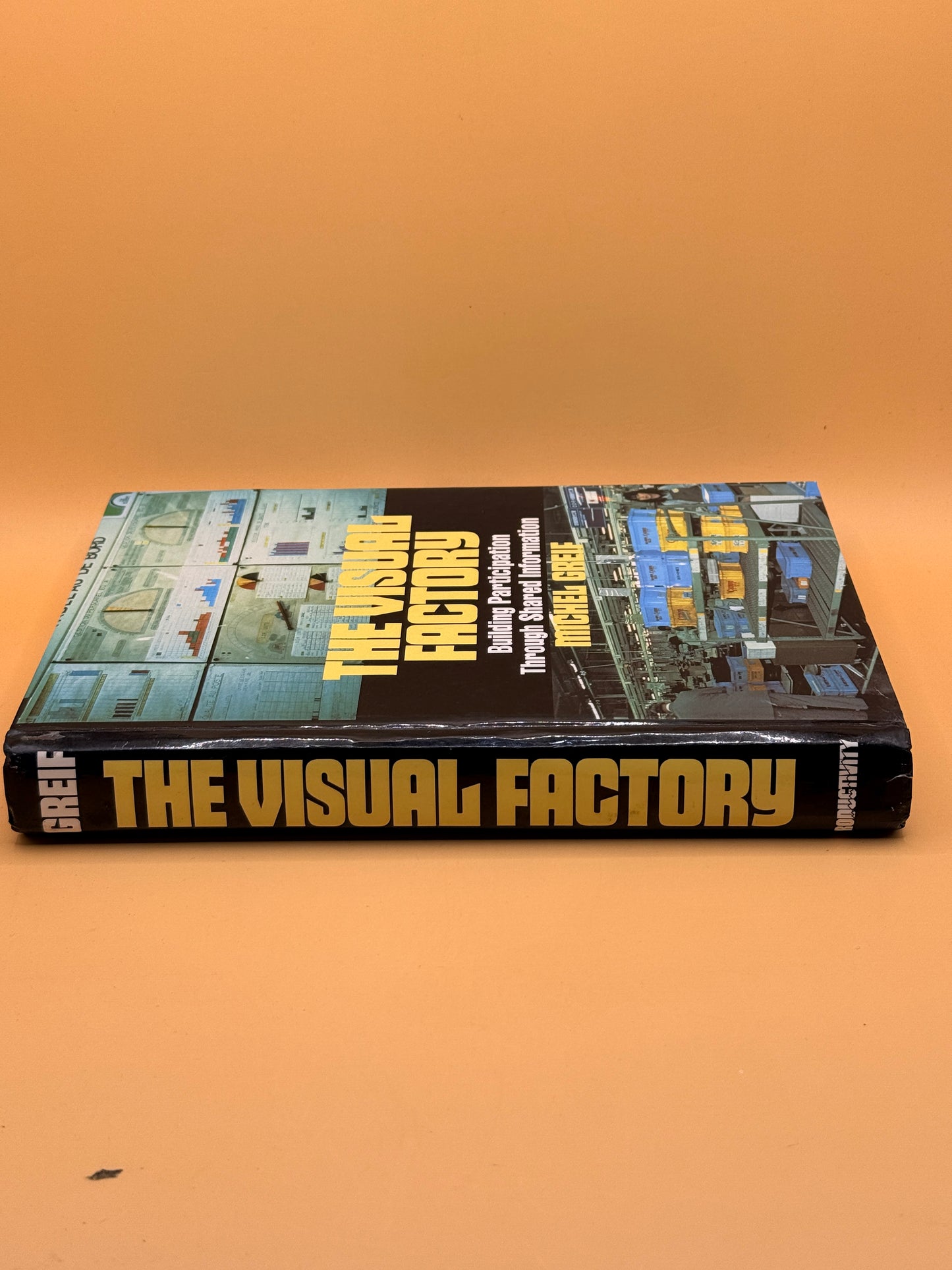 The Visual Factory: Building Participation Through Shared Information by Michel Greif