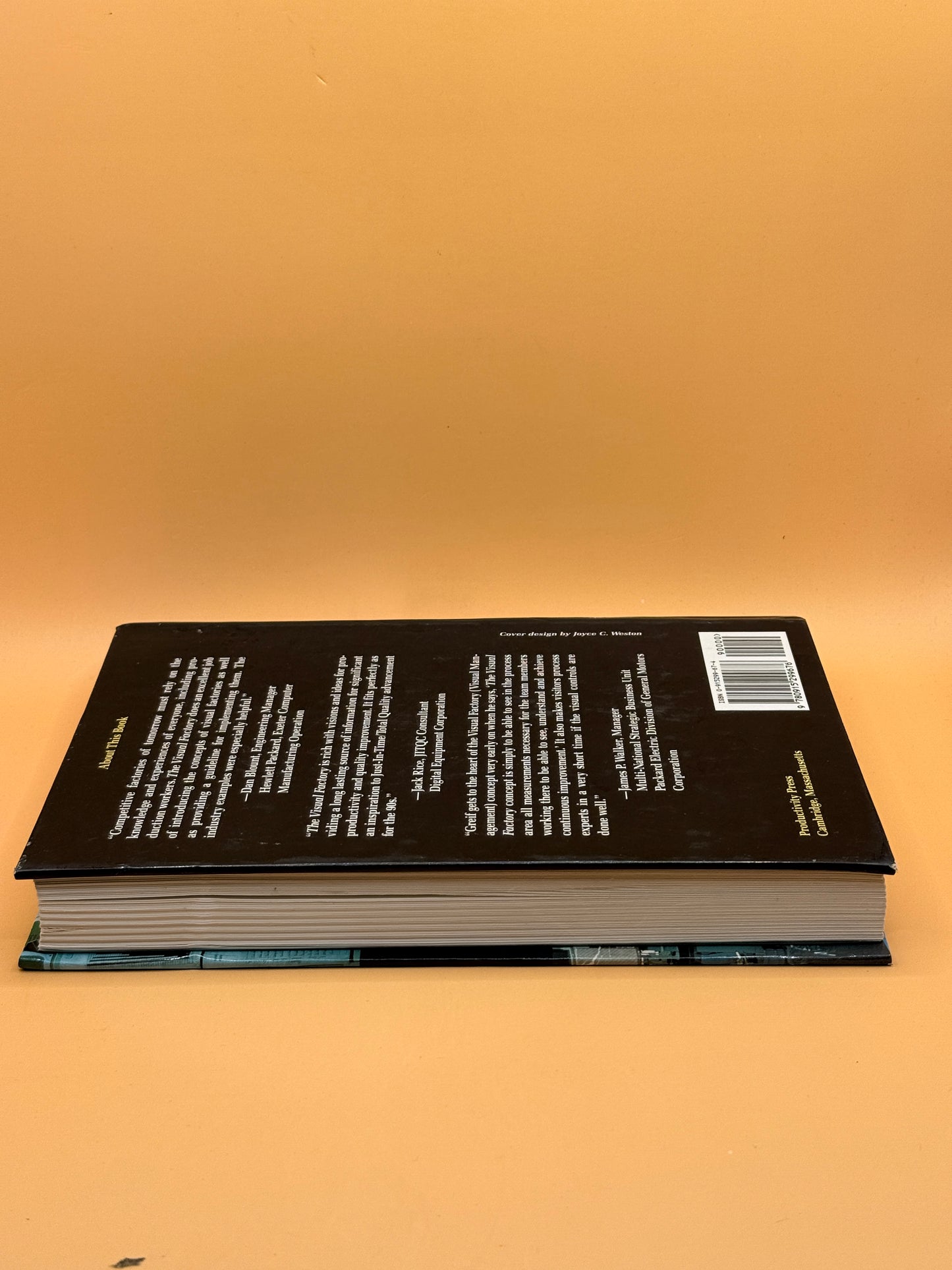 The Visual Factory: Building Participation Through Shared Information by Michel Greif