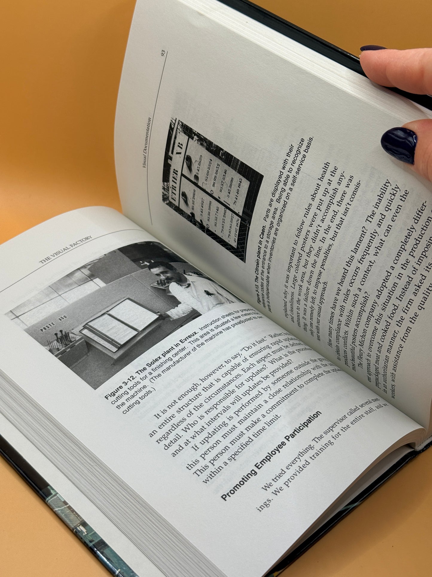 The Visual Factory: Building Participation Through Shared Information by Michel Greif