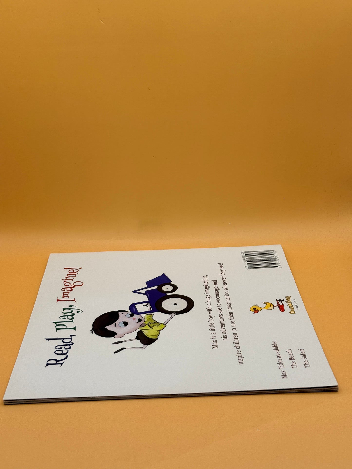 Max and His Big Imagination: The Sandpit by Chrissy Metge