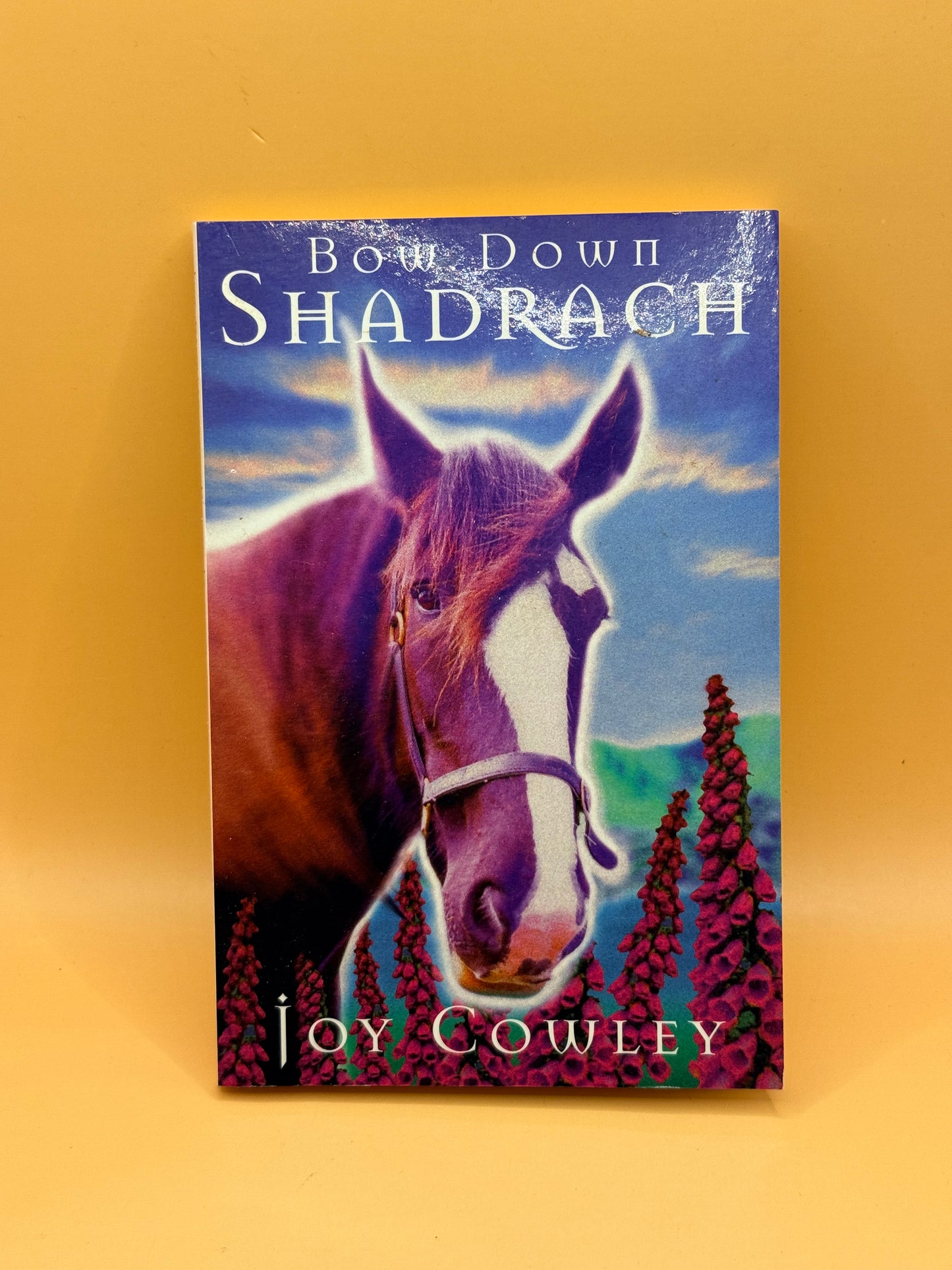 Bow Down Shadrach by Joy Cowley