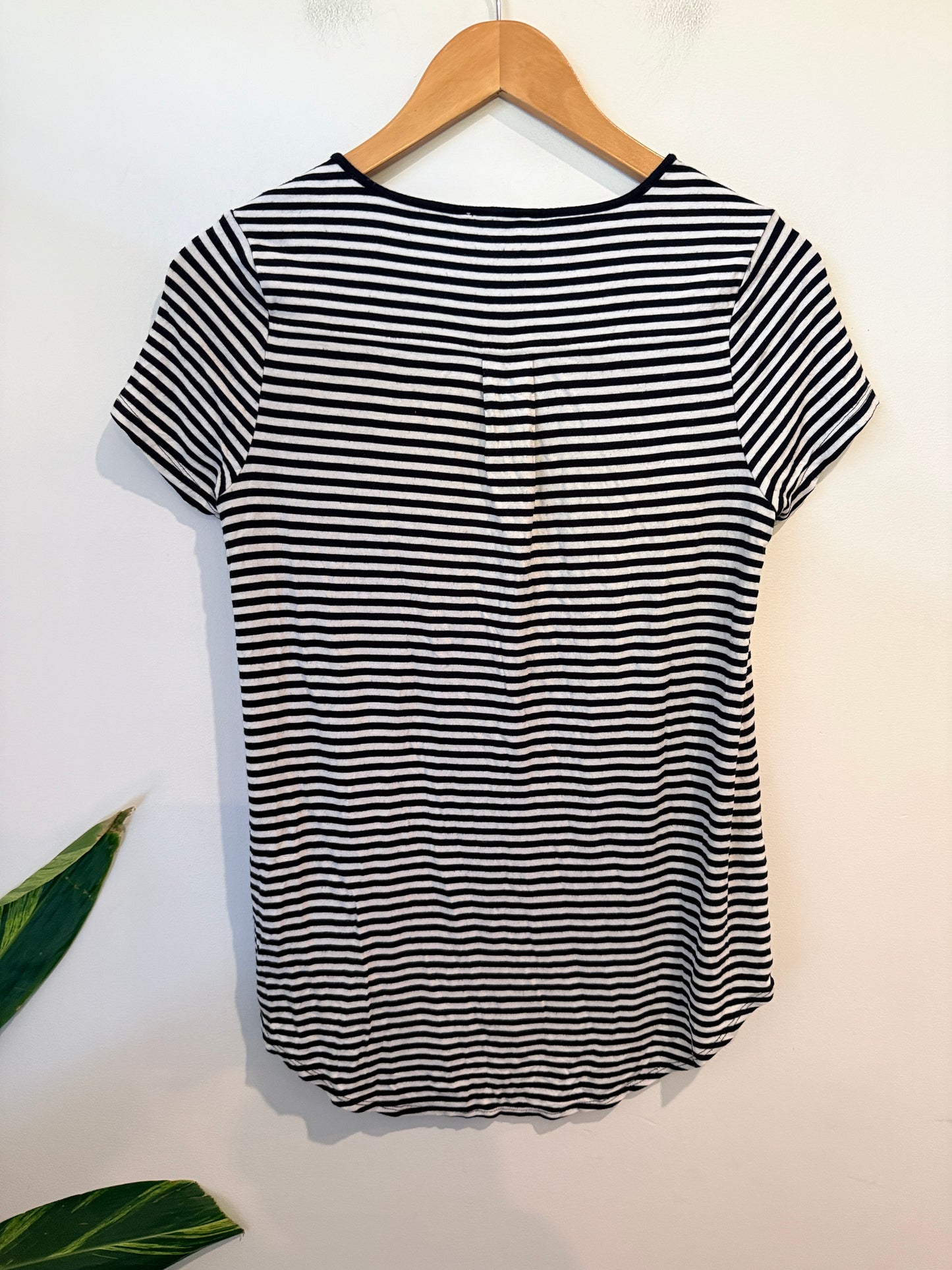 Witchery Short Sleeve Tee Stripe Size XS