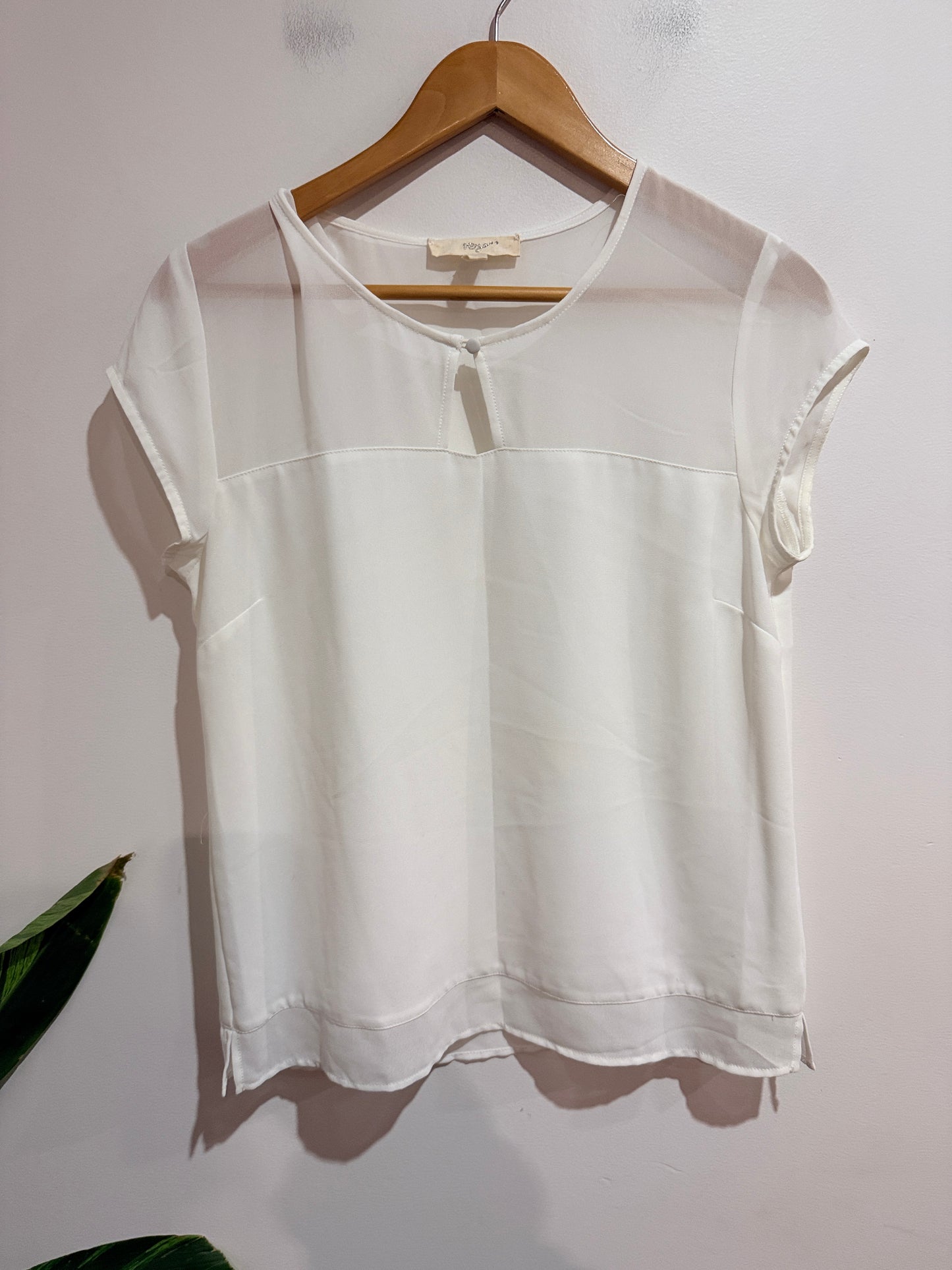 Verge (NZ Made) Sheer Panel Top Size S