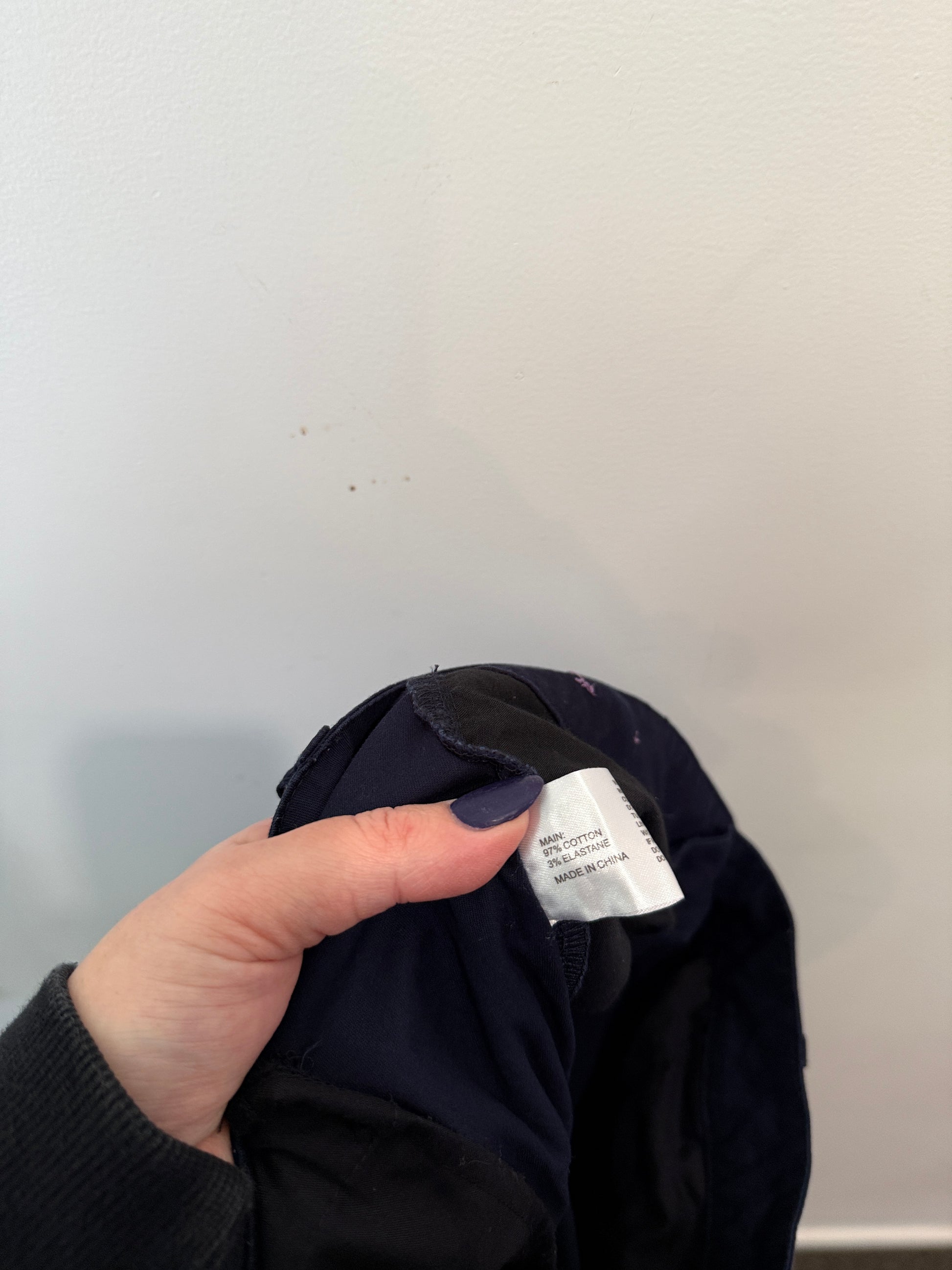 Twin Lakes Navy Cropped Pants Size 12