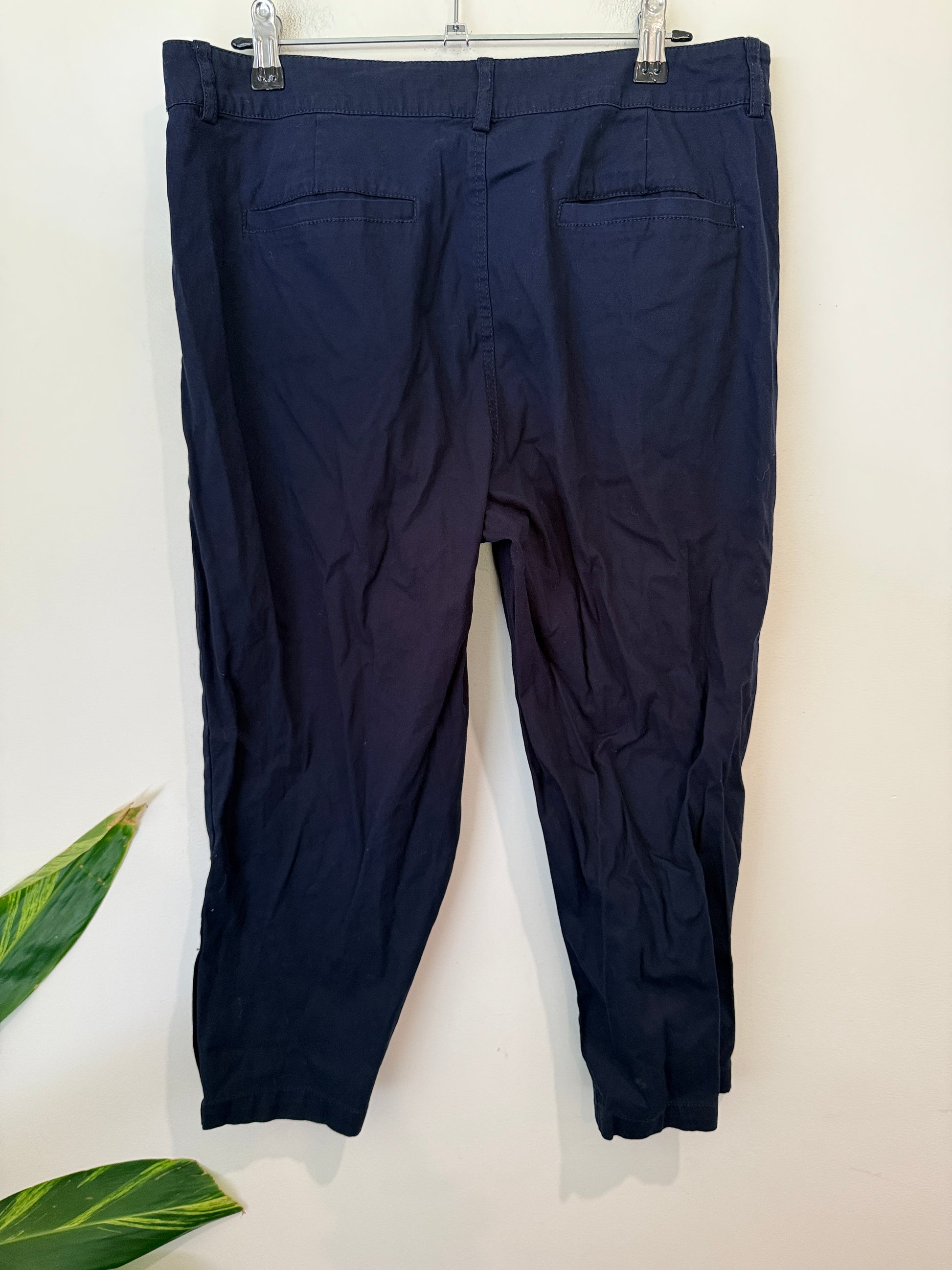 Twin Lakes Navy Cropped Pants Size 12