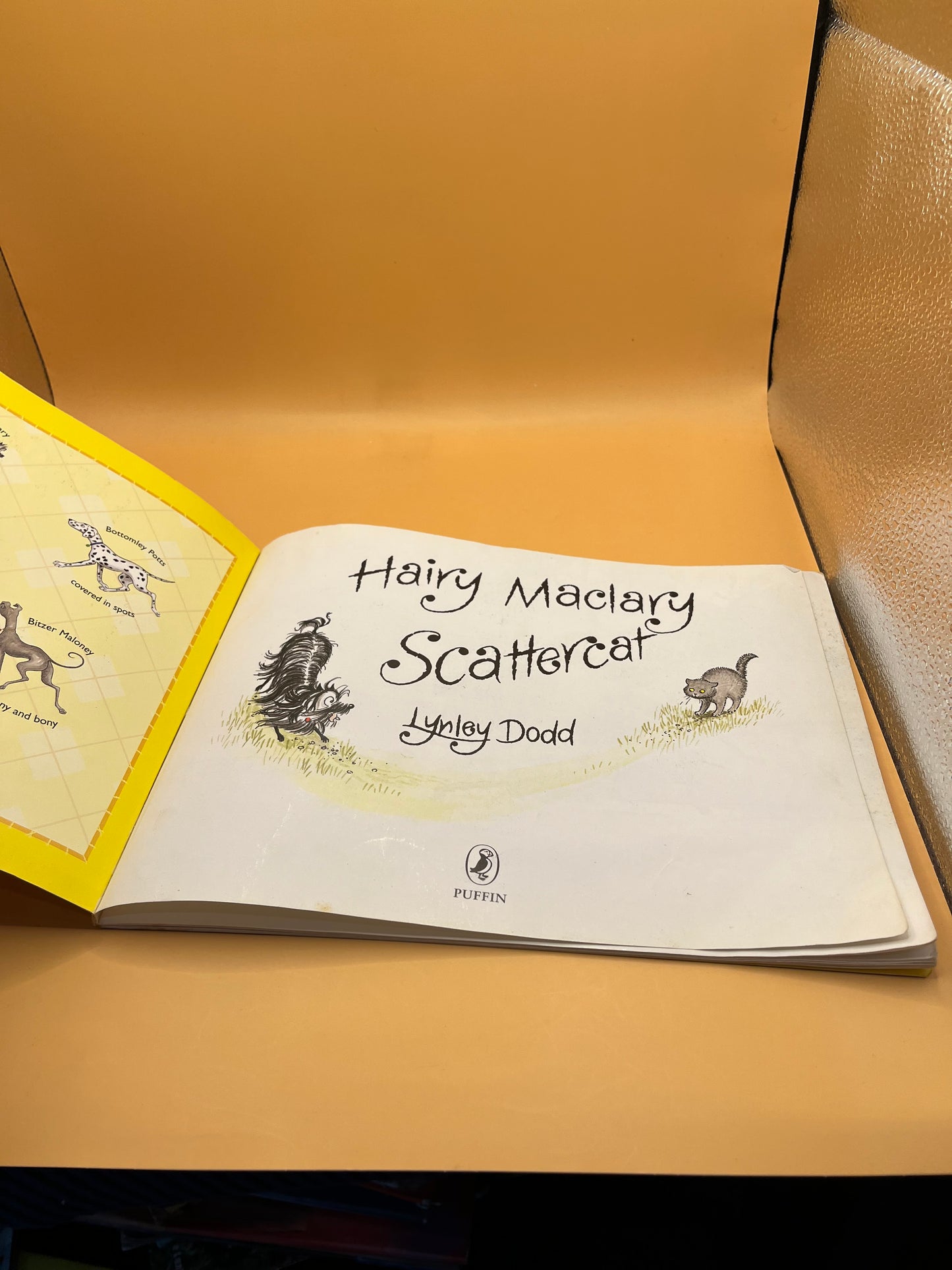 Hairy Maclary Scattercat by New Zealand author Lynley Dodd.