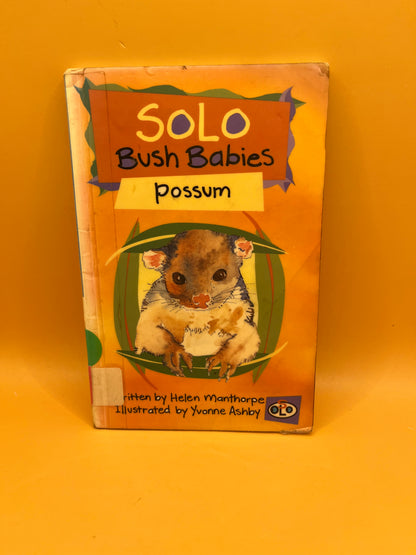 Solo Bush Babies: Possum