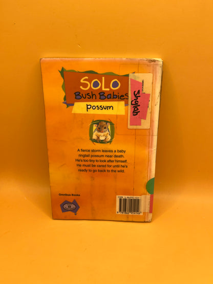 Solo Bush Babies: Possum