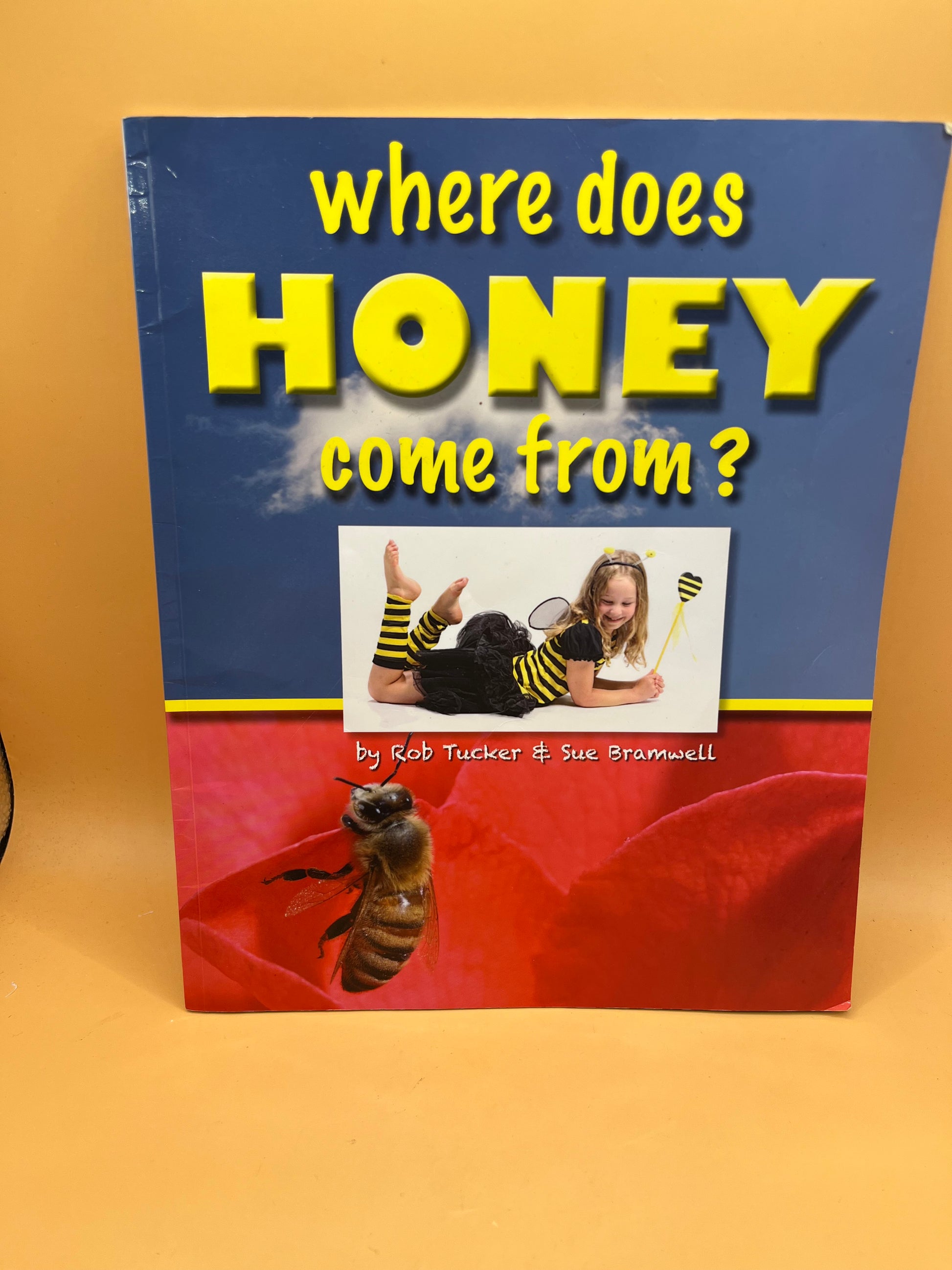 Where Does Honey Come From? by Sue Bramwell