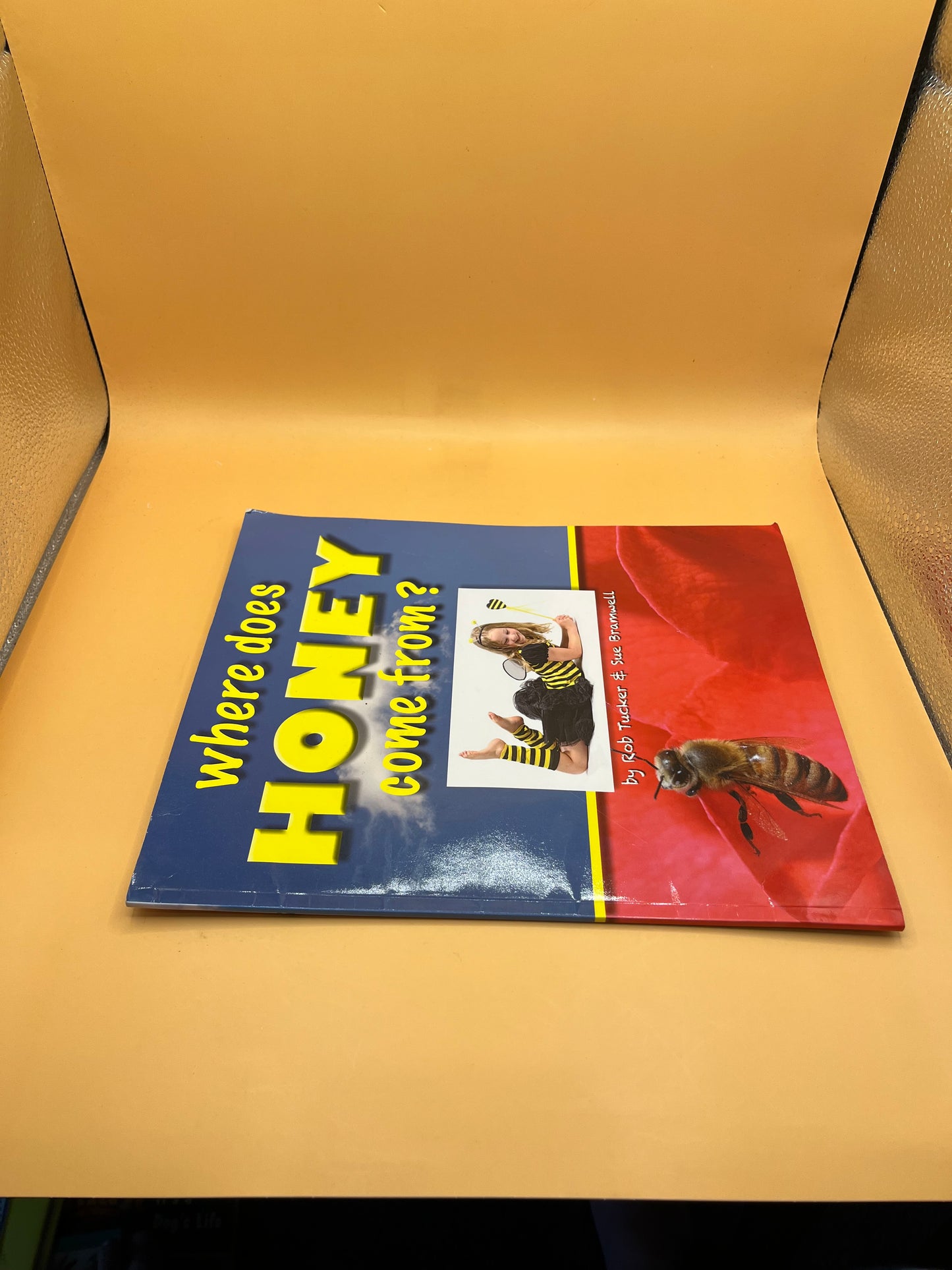 Where Does Honey Come From? by Sue Bramwell