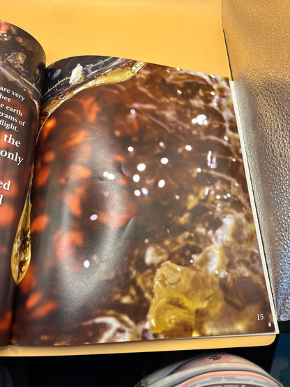Where Does Honey Come From? by Sue Bramwell