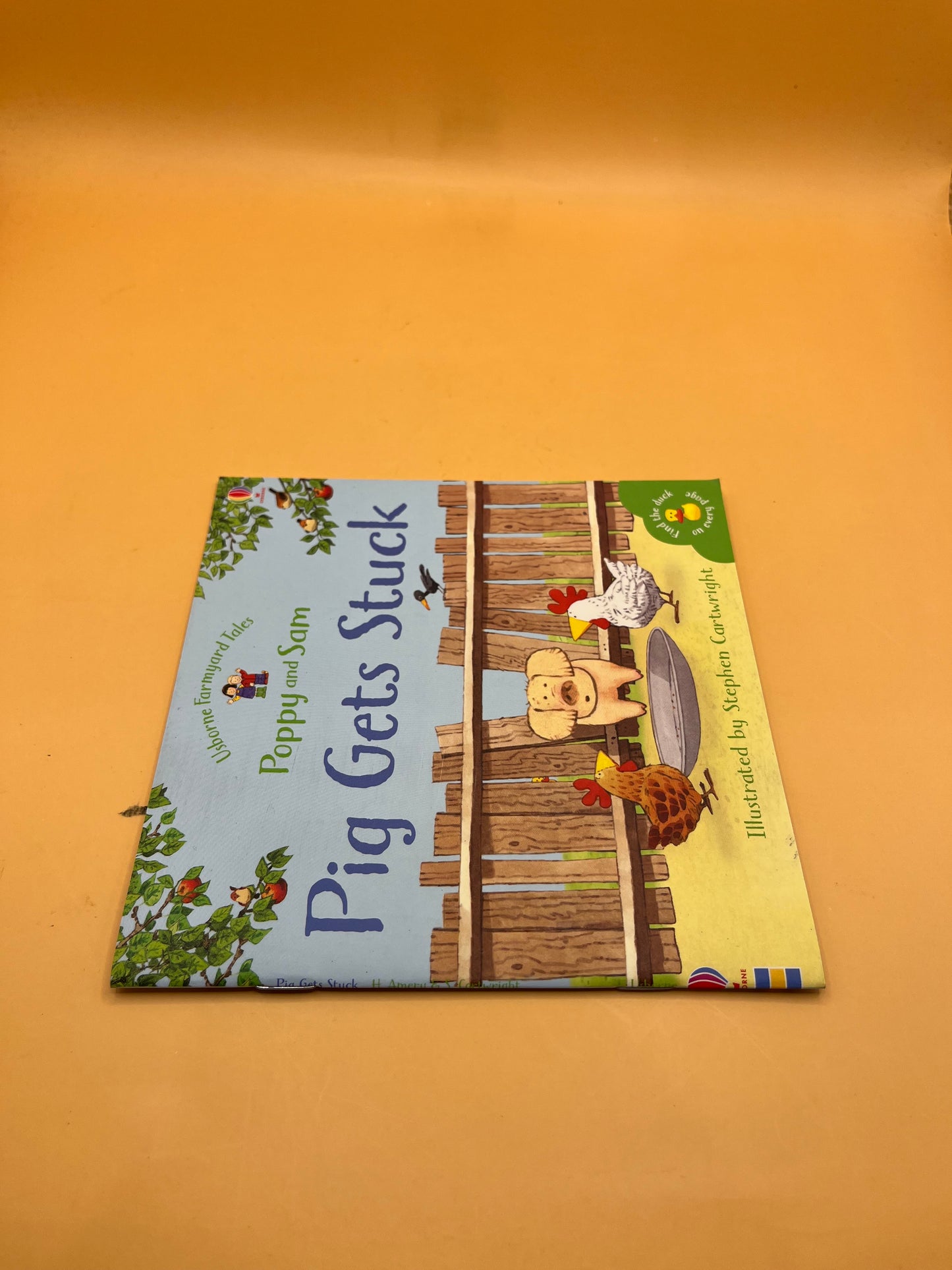 Pig Gets Stuck by Heather Amery