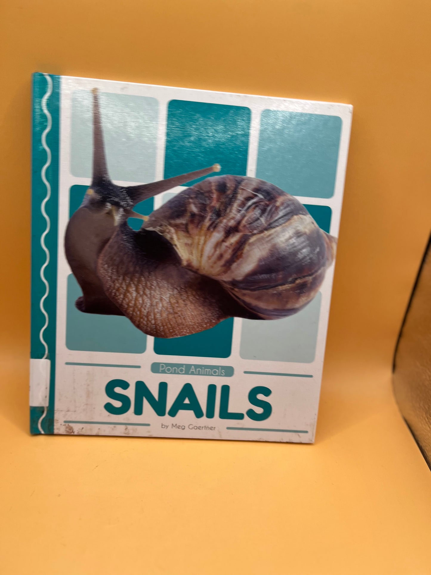 Snails by Meg Gaertner
