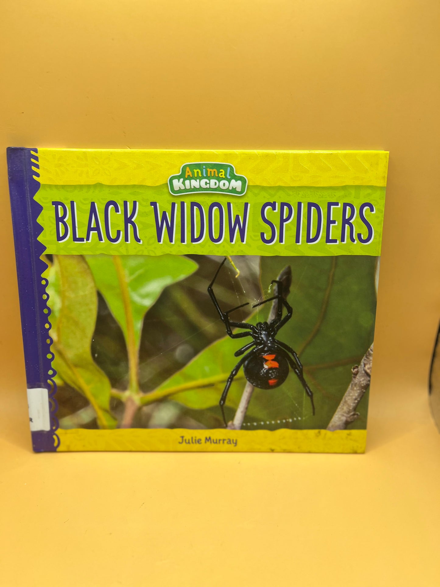 Black Widow Spiders from the "Animal Kingdom" series