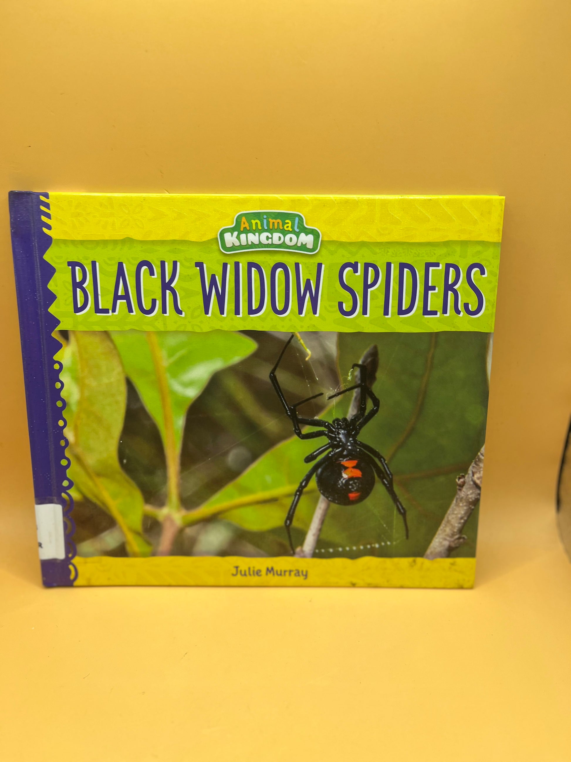 Black Widow Spiders from the "Animal Kingdom" series