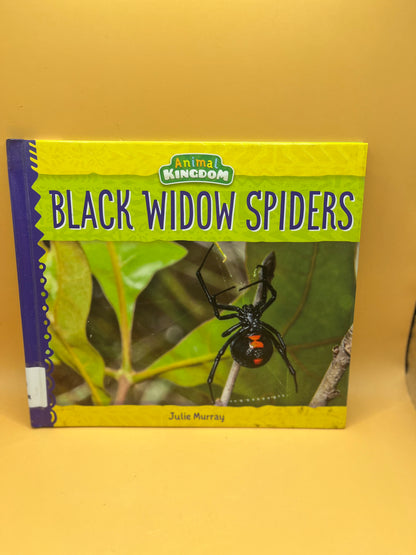Black Widow Spiders from the "Animal Kingdom" series