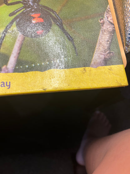 Black Widow Spiders from the "Animal Kingdom" series