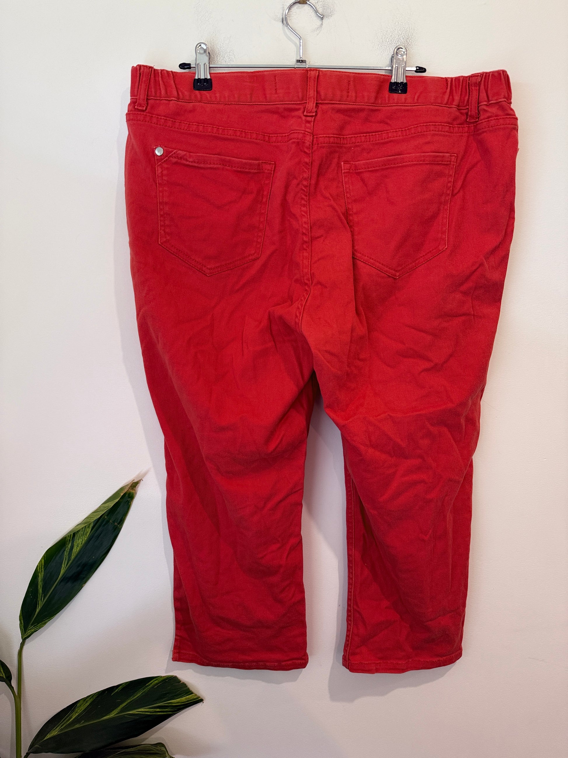 Capture Red Cropped Pants