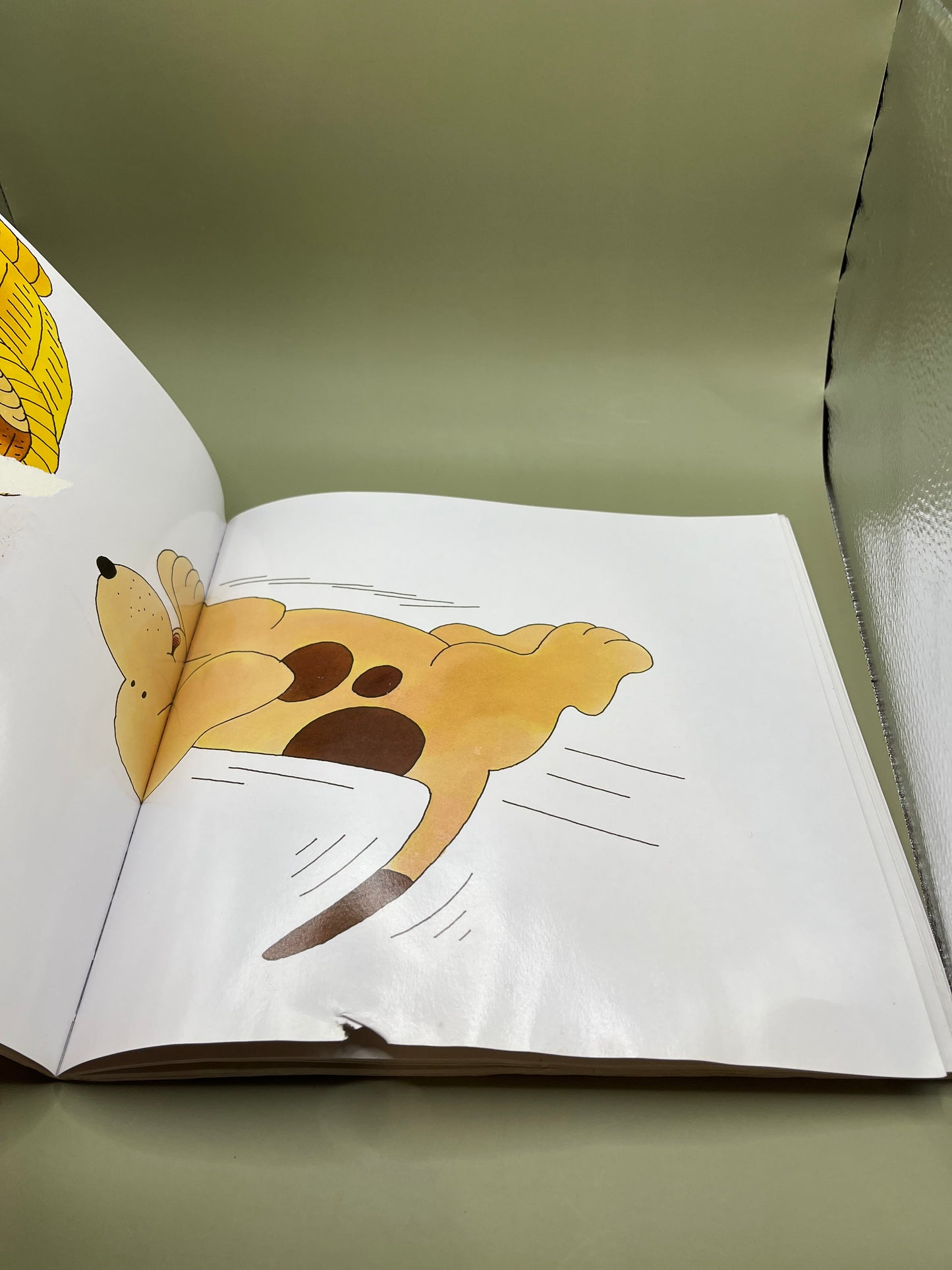 Where's Spot? by Eric Hill