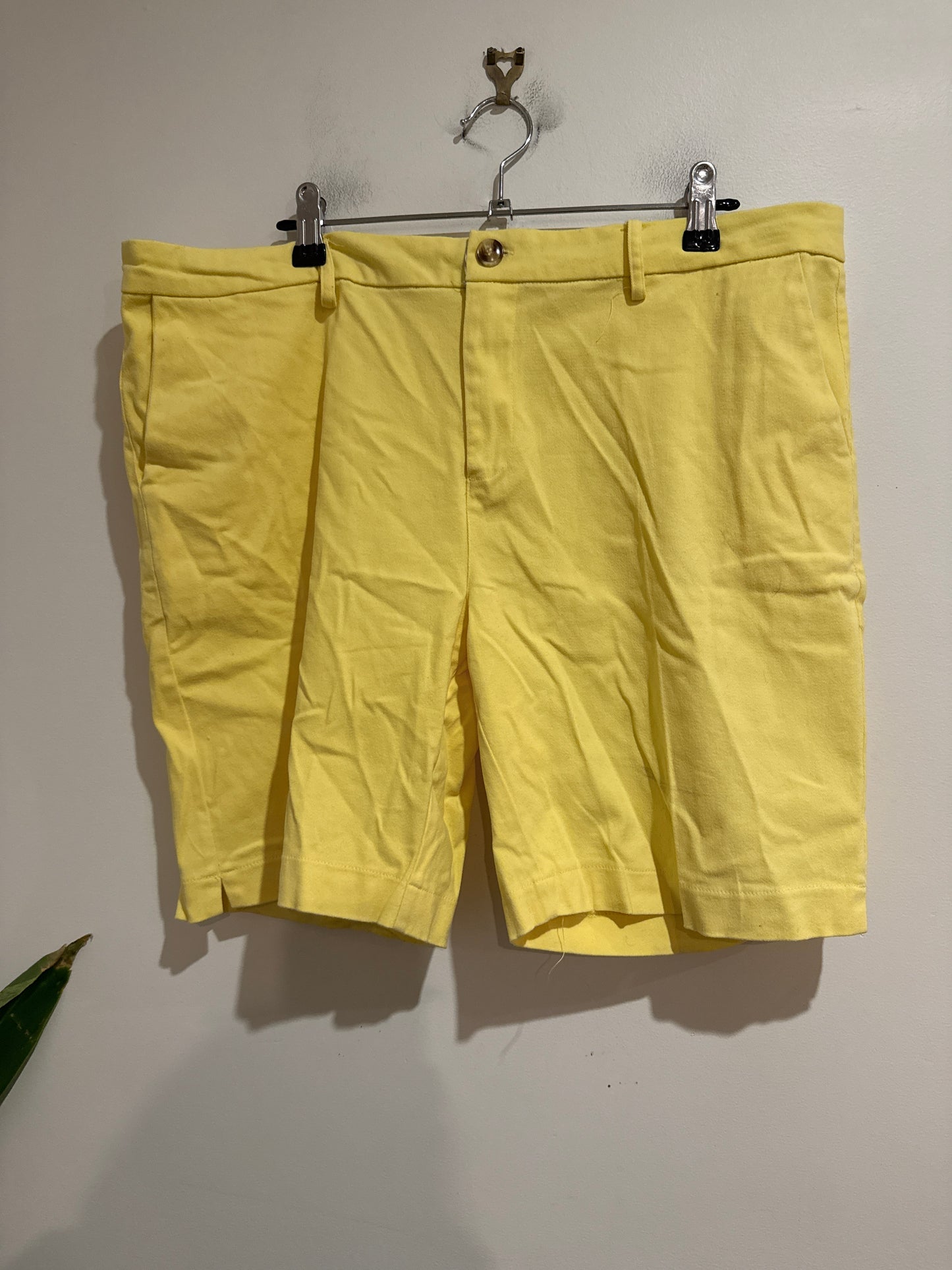 Capture Size 16 Chino Shorts
