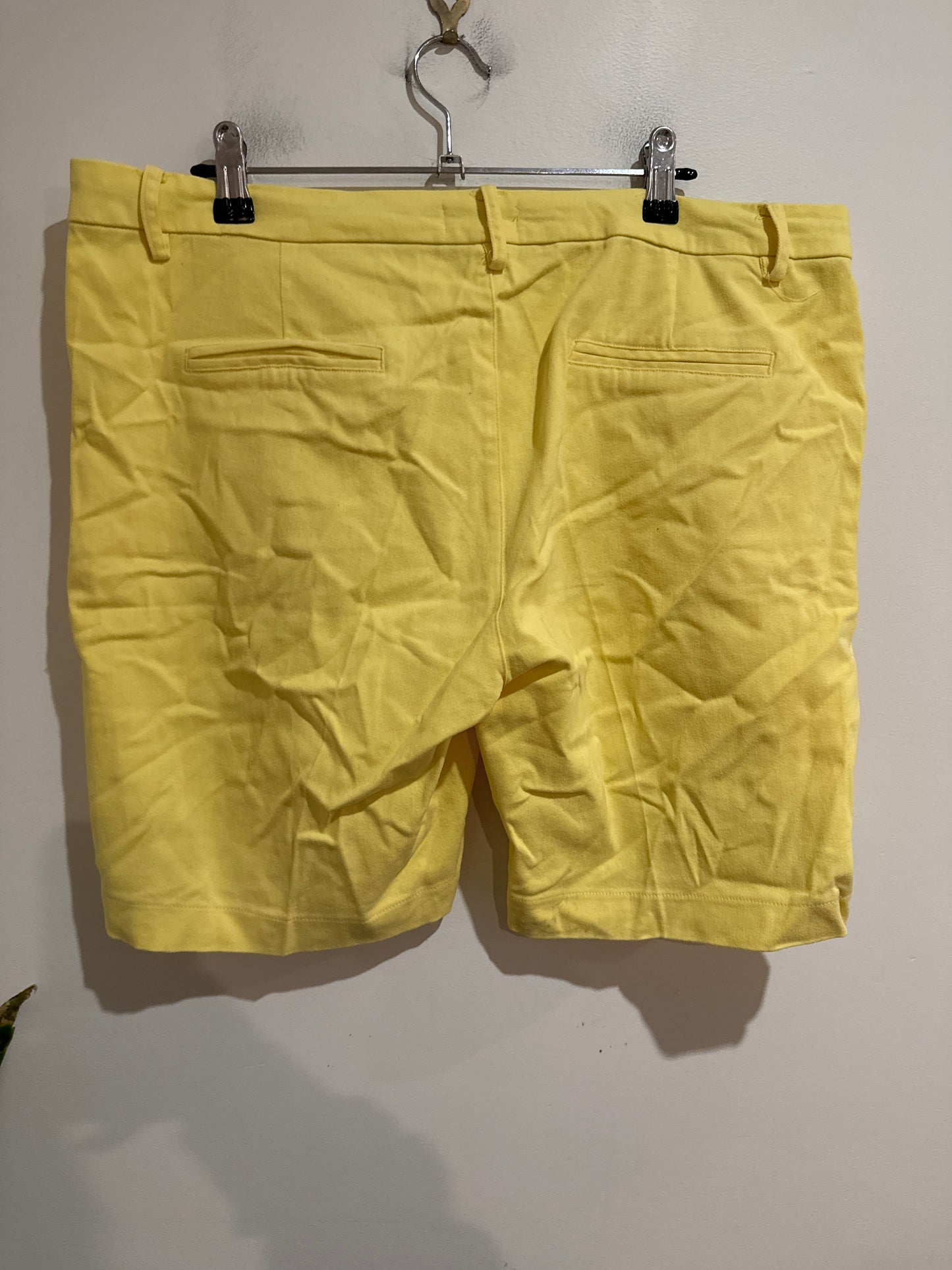 Capture Size 16 Chino Shorts