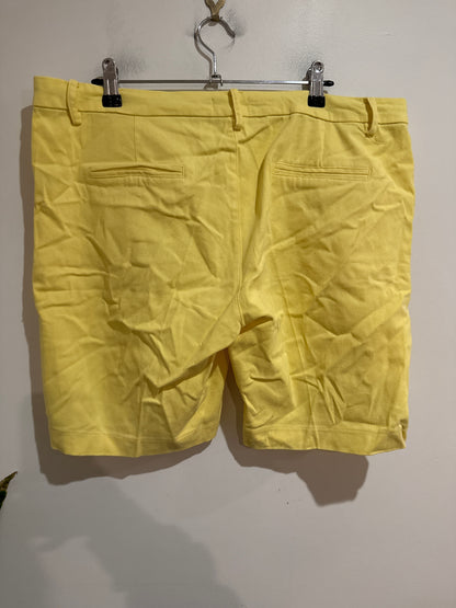 Capture Size 16 Chino Shorts