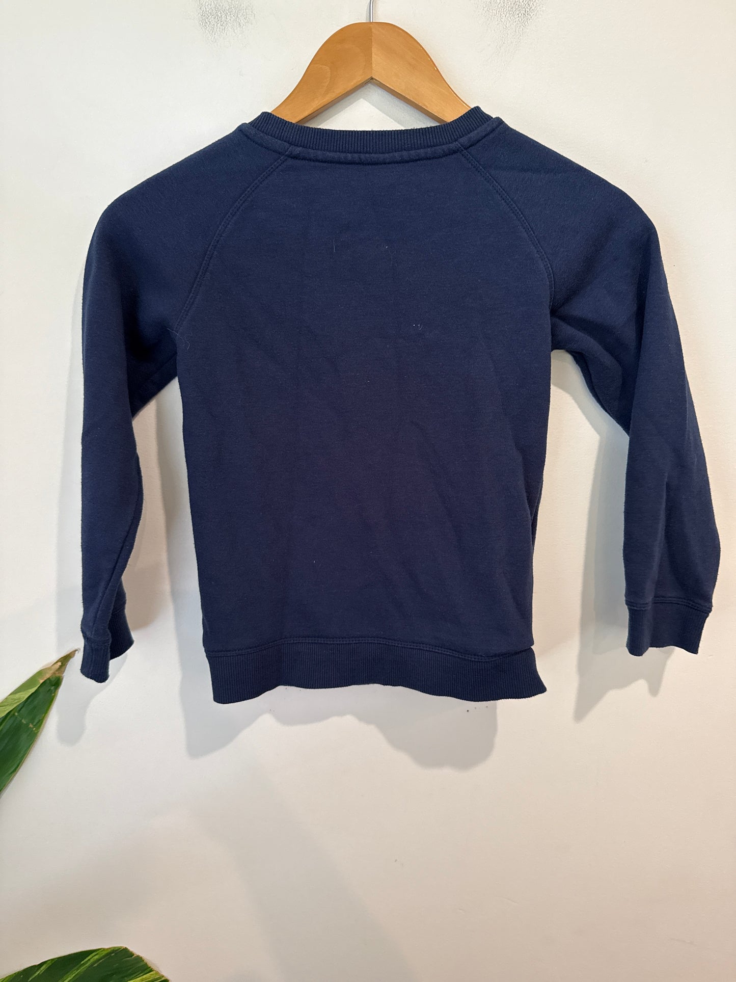 Anko Boys 1-6 | 7 Kids Mountain Print Sweatshirt