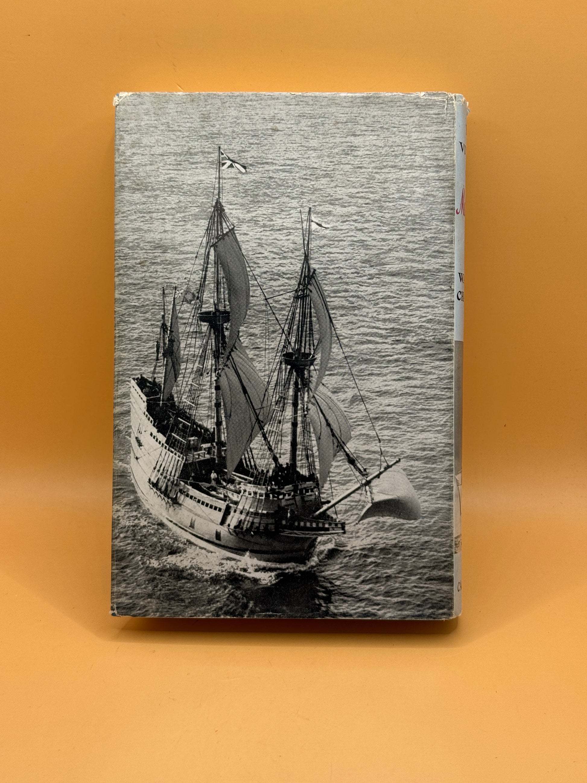 TVJ-029316 photo 2
