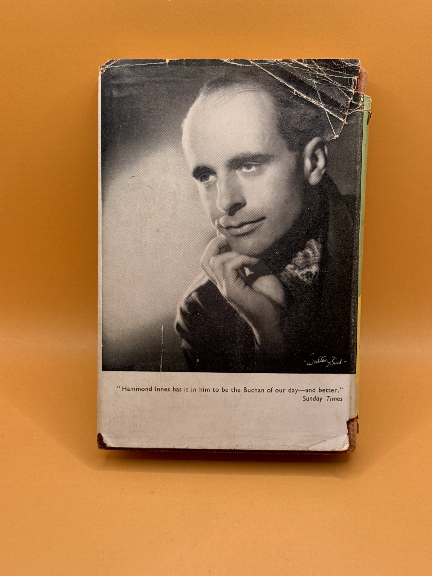 TVJ-029330 photo 2