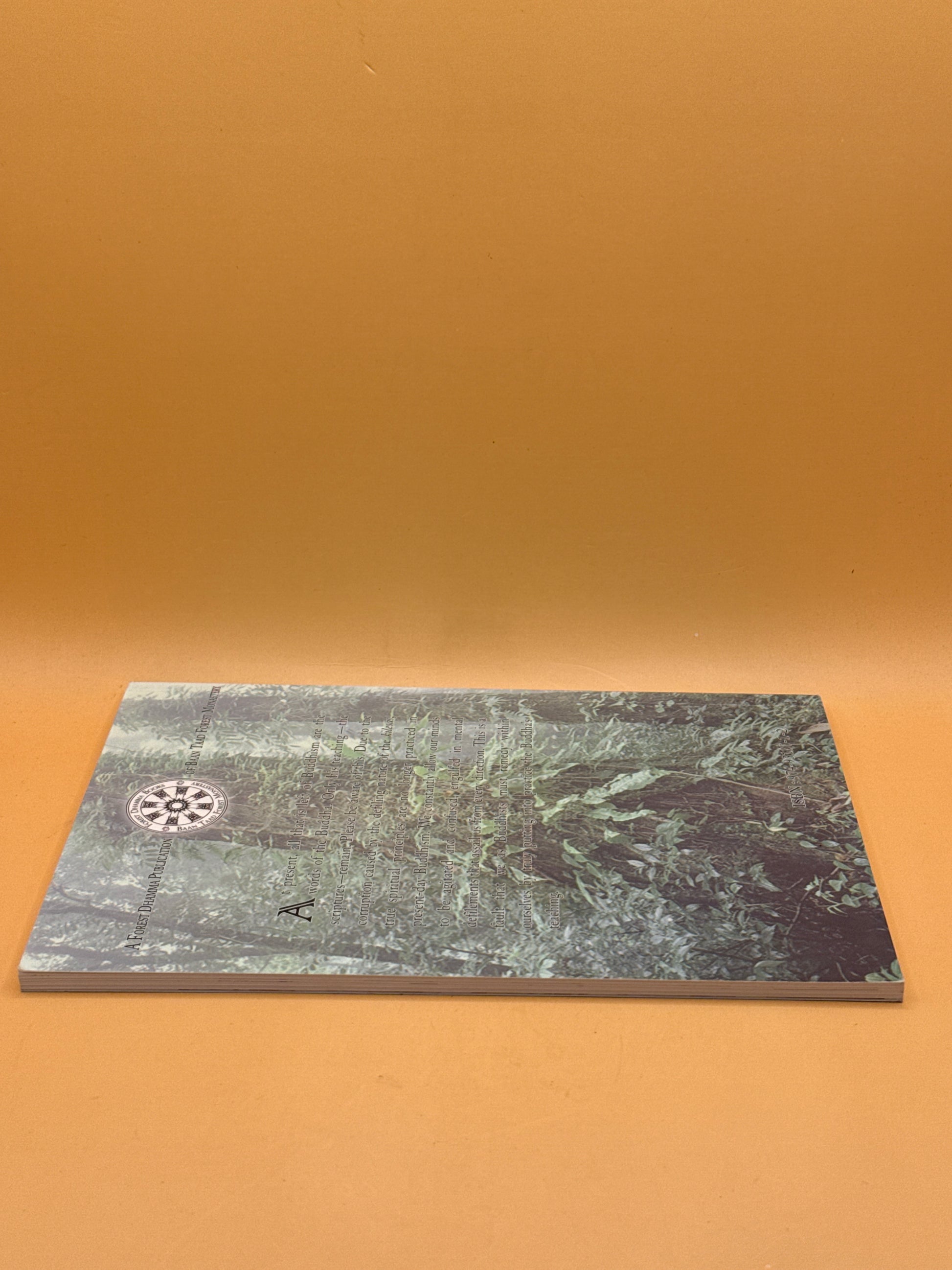 TVJ-029351 photo 4