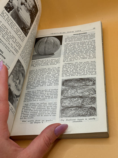 TVJ-029353 photo 7