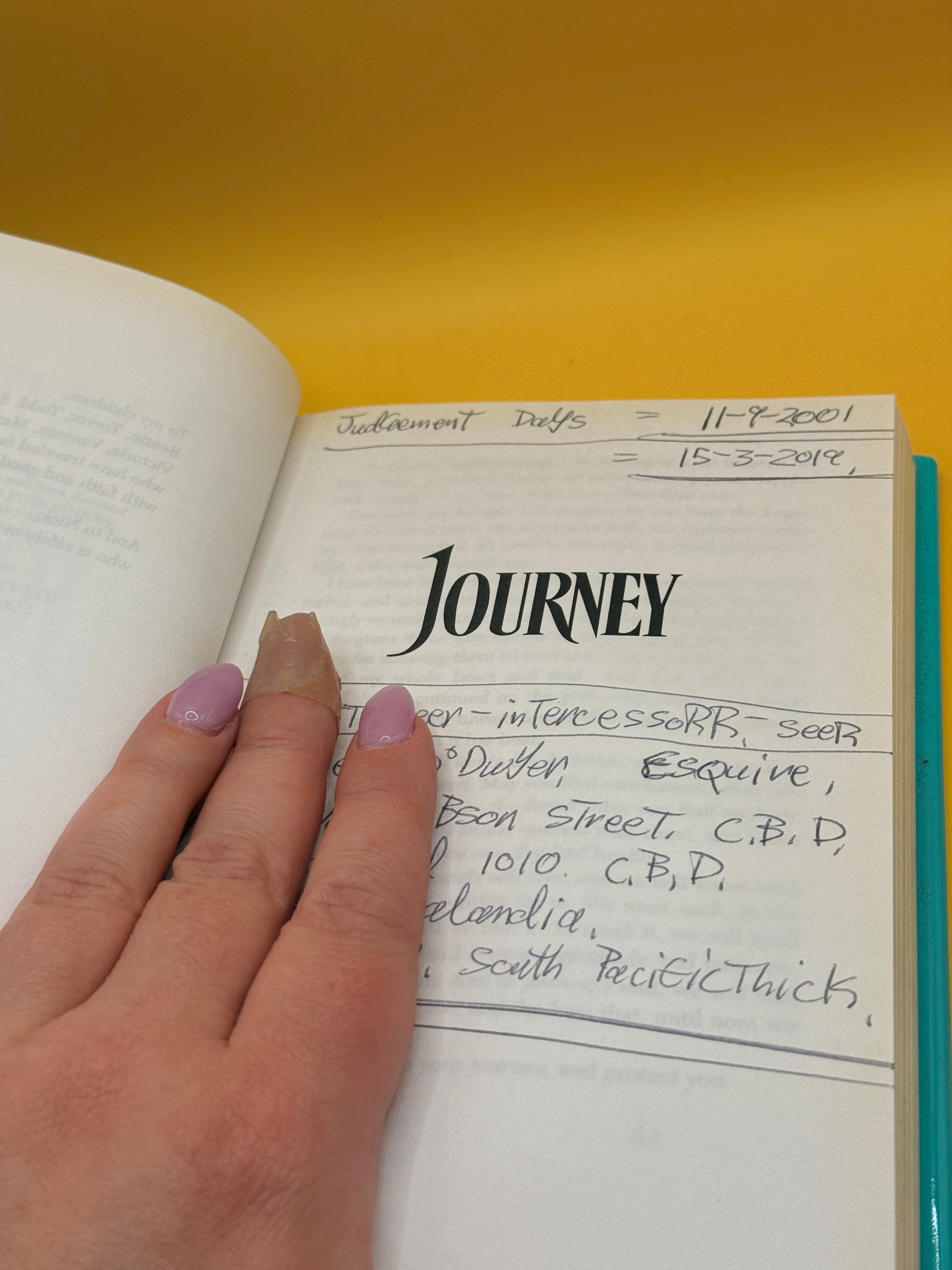 Journey by Danielle Steel